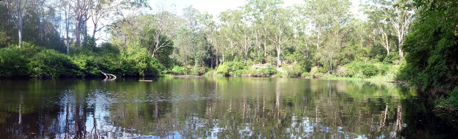 auburn australia lane cove national park auburn australia lane cove national park